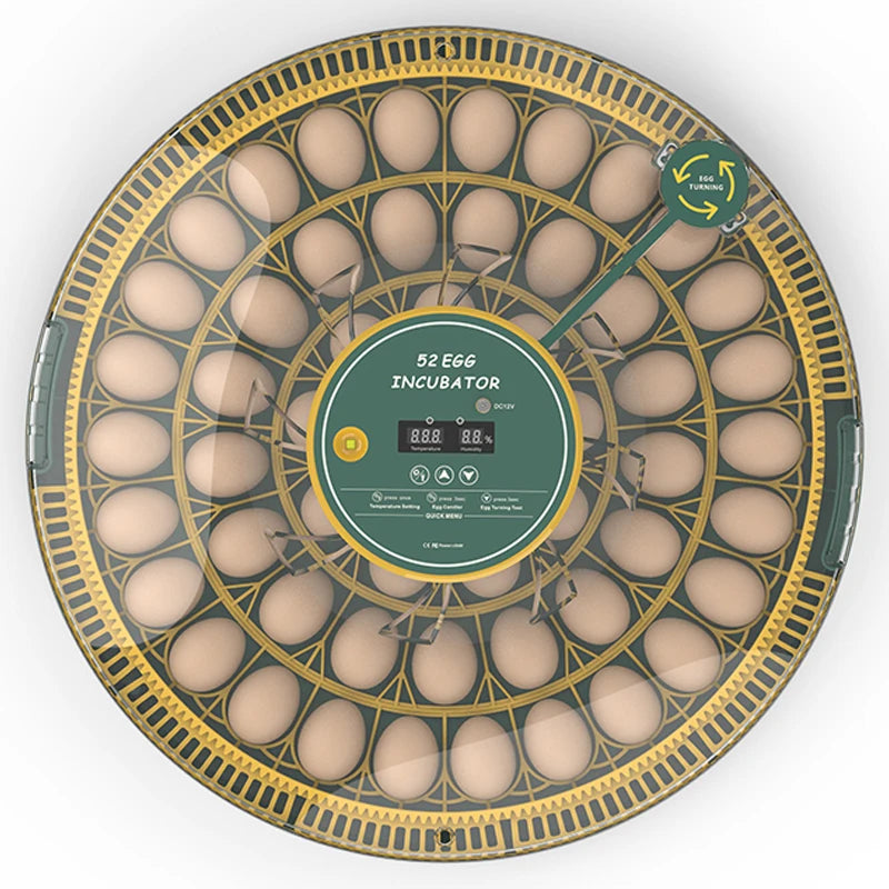 Egg Incubator With Automatic Turning Temperature And Humidity Monitor