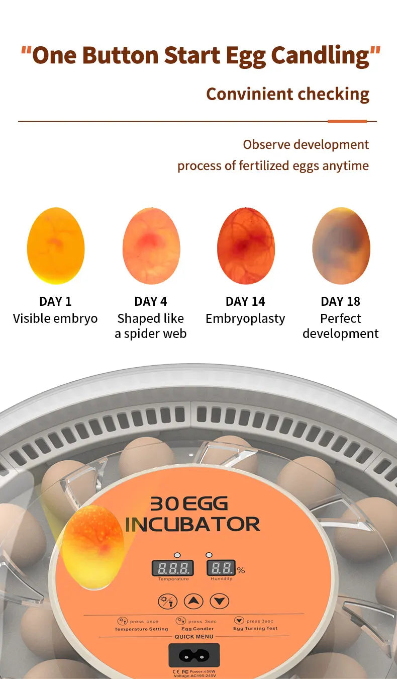 Egg Incubator Auto Brooder With Spin Turner 30 Egg Capacity