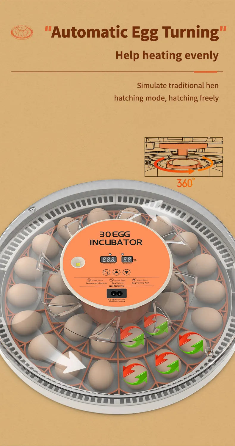 Egg Incubator Auto Brooder With Spin Turner 30 Egg Capacity