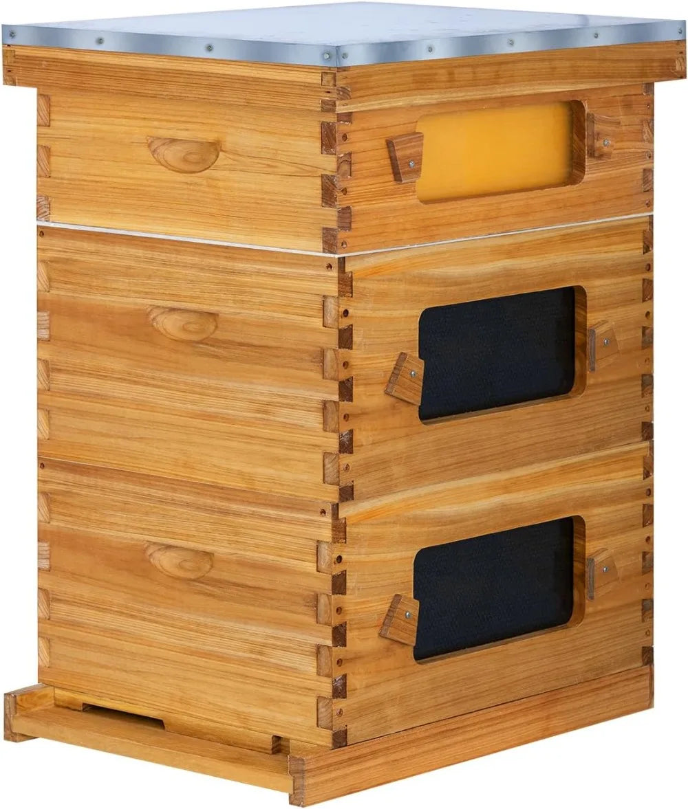 10 Frame Bee Hive Starter Kit Windows Beehive Frames And Waxed Foundations 2 Deep Brood Boxes And 1 Medium Super Box