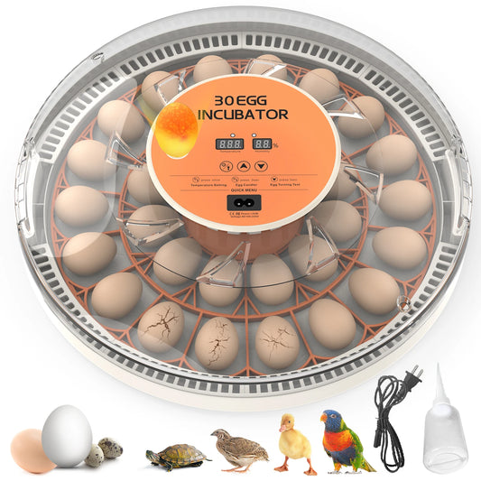 Egg Incubator With Automatic Turning Temperature And Humidity Monitor