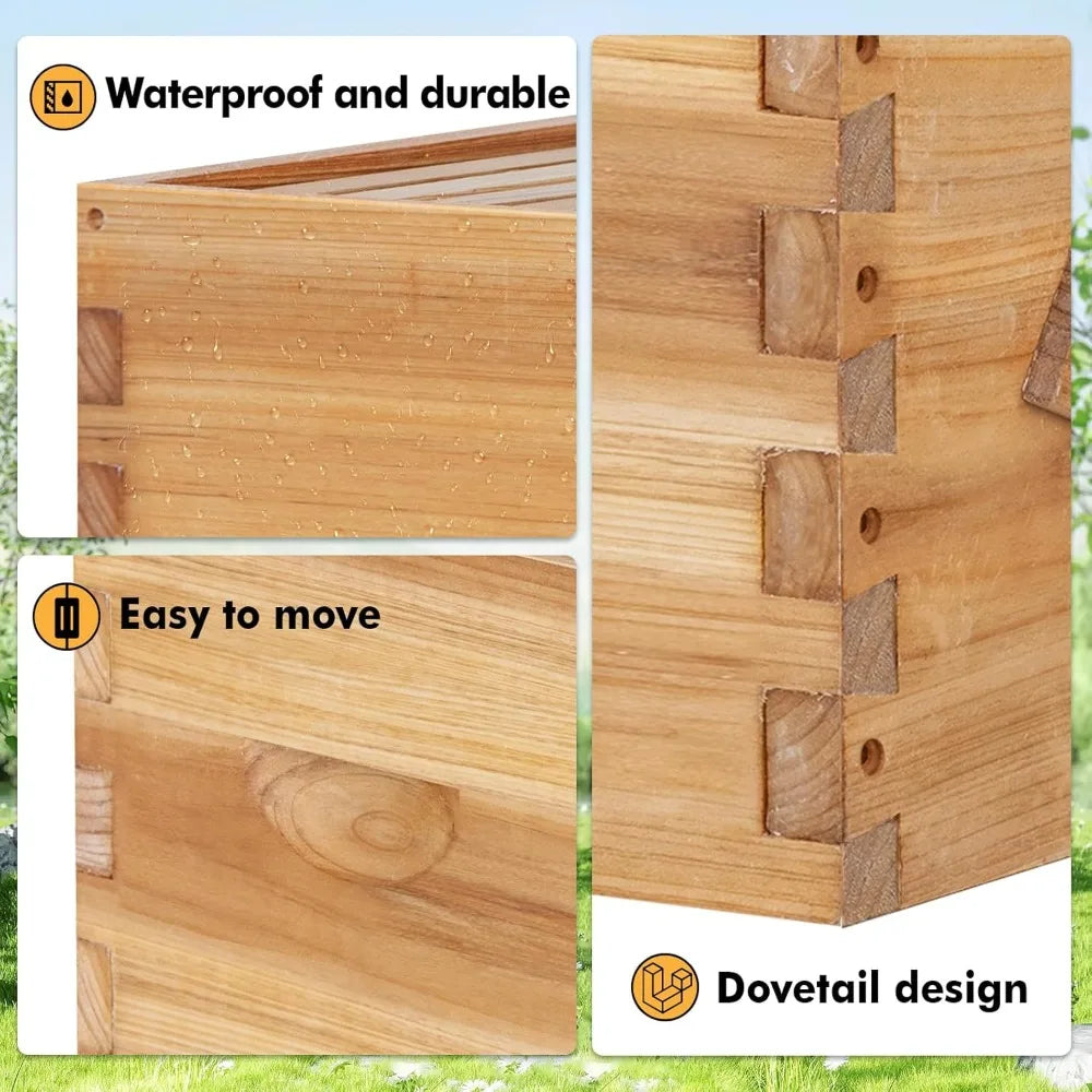 10 Frame Bee Hive Starter Kit Windows Beehive Frames And Waxed Foundations 2 Deep Brood Boxes And 1 Medium Super Box