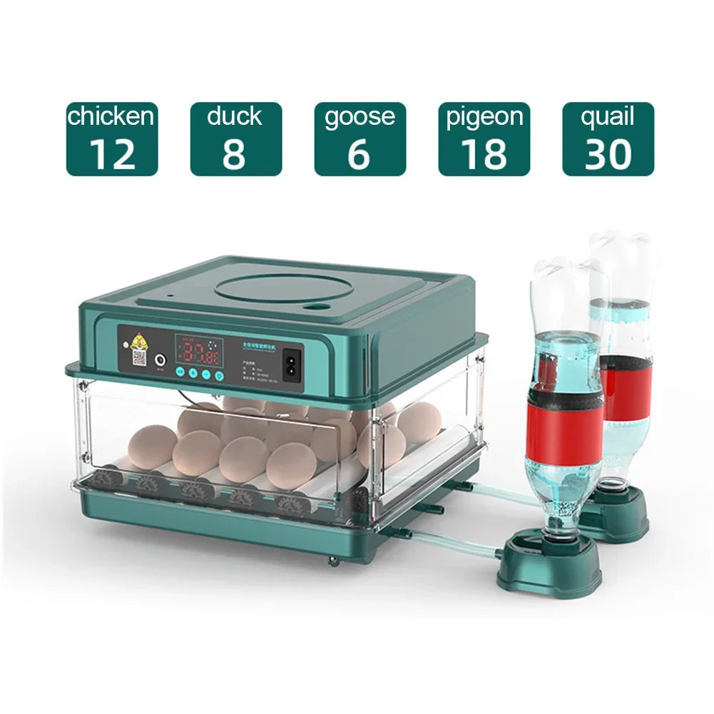 Farm Animals Egg Incubator For Chicken Goose Quail Automatic Hatchery
