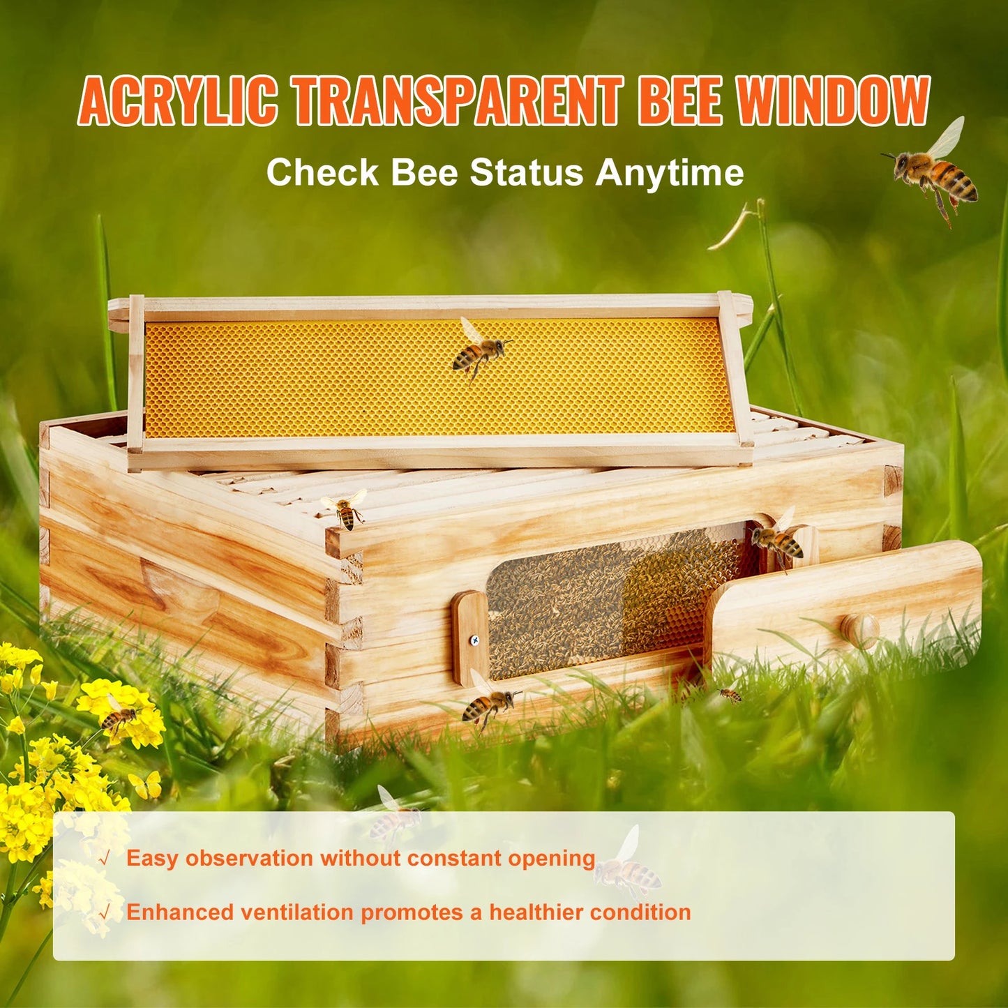 SucceBuy Bee Hive Starter Kit With 10 Frames And Foundations