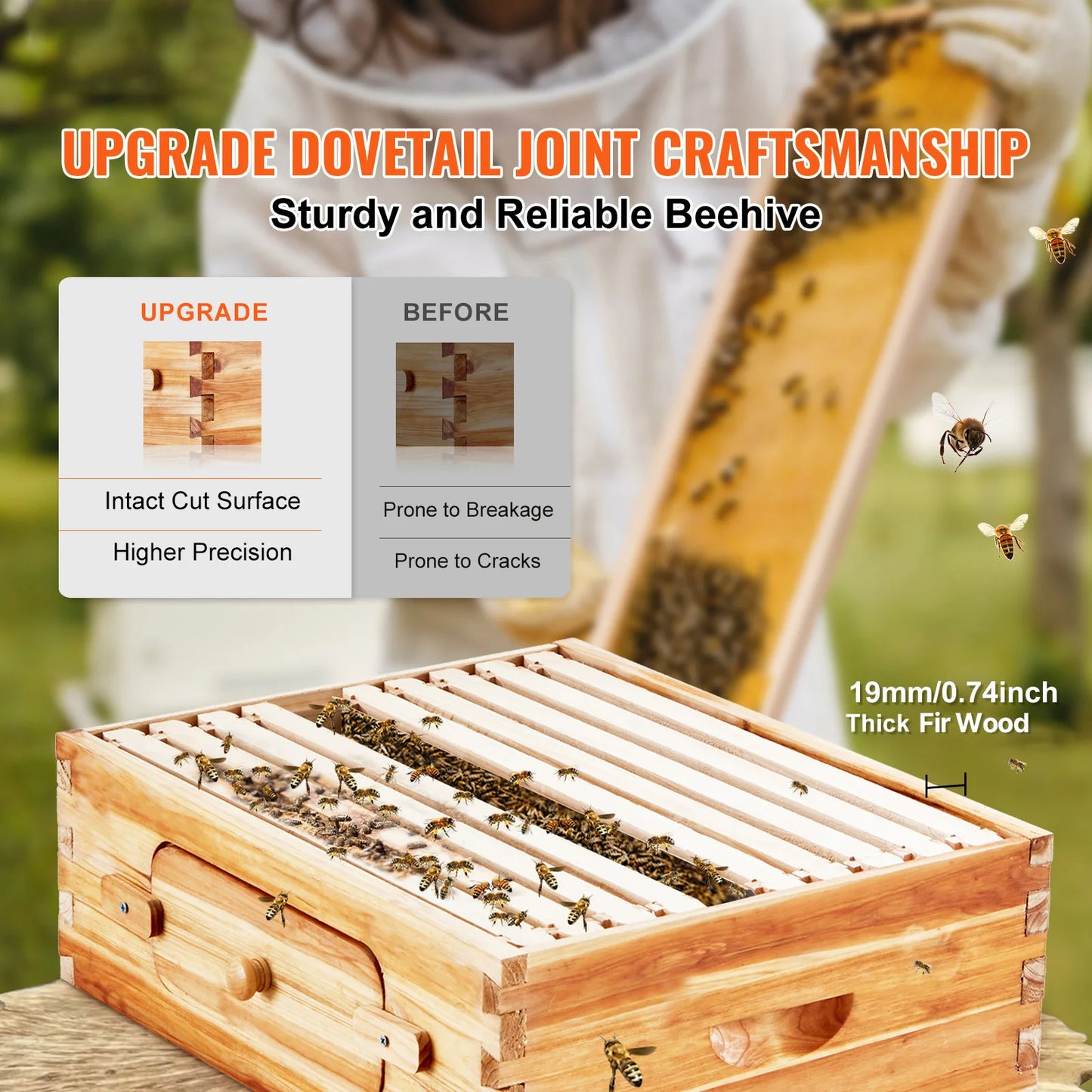 SucceBuy Bee Hive Starter Kit With 10 Frames And Foundations