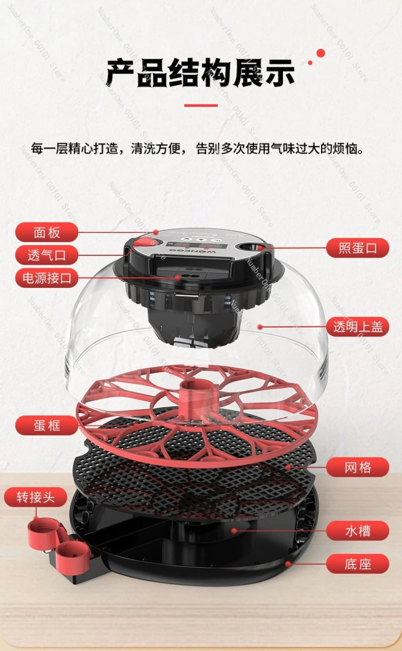 Egg Incubator With Dual Temperature And Humidity Display