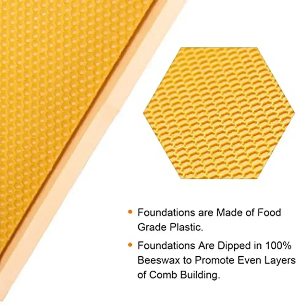 XMSJ Beehive Frames With Beeswax Coated Foundations Pinewood Construction