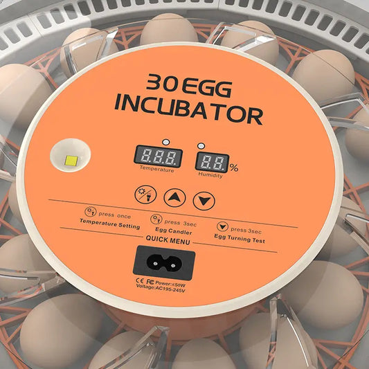 Egg Incubator Auto Brooder With Spin Turner 30 Egg Capacity