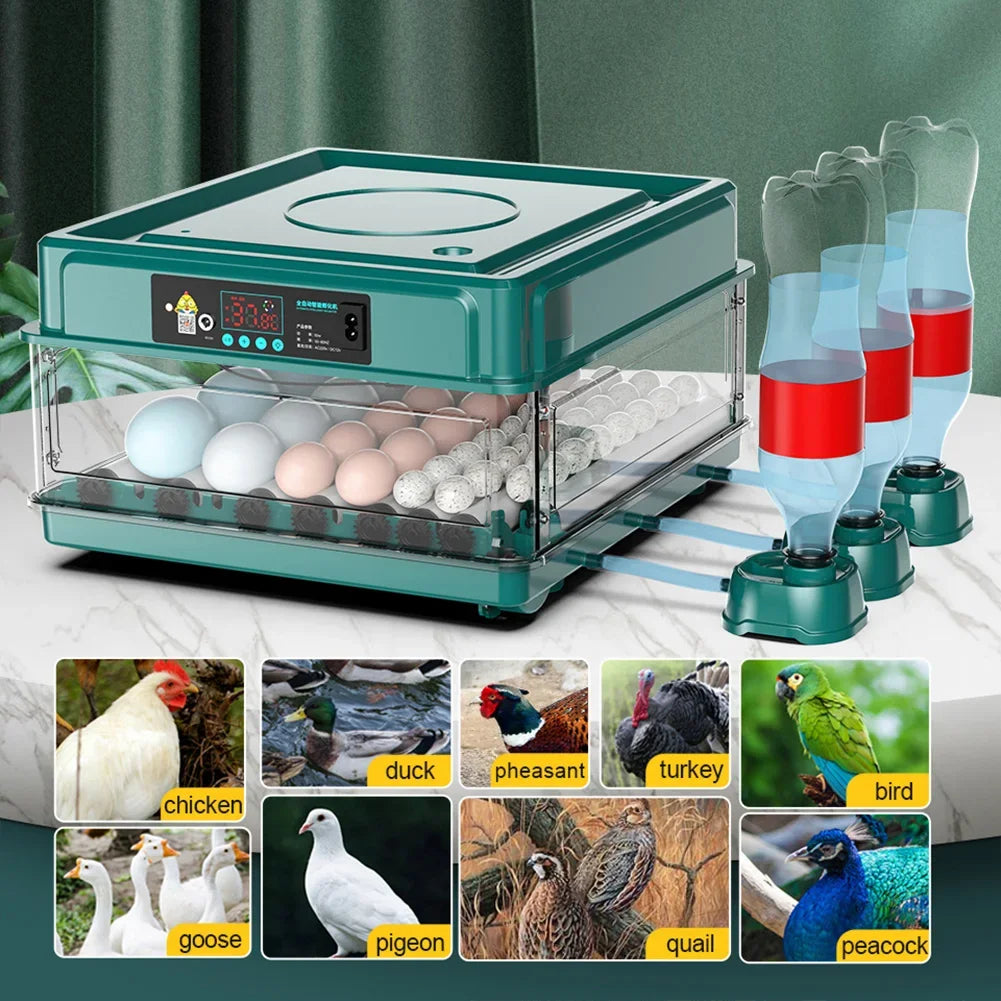 Farm Animals Egg Incubator For Chicken Goose Quail Automatic Hatchery