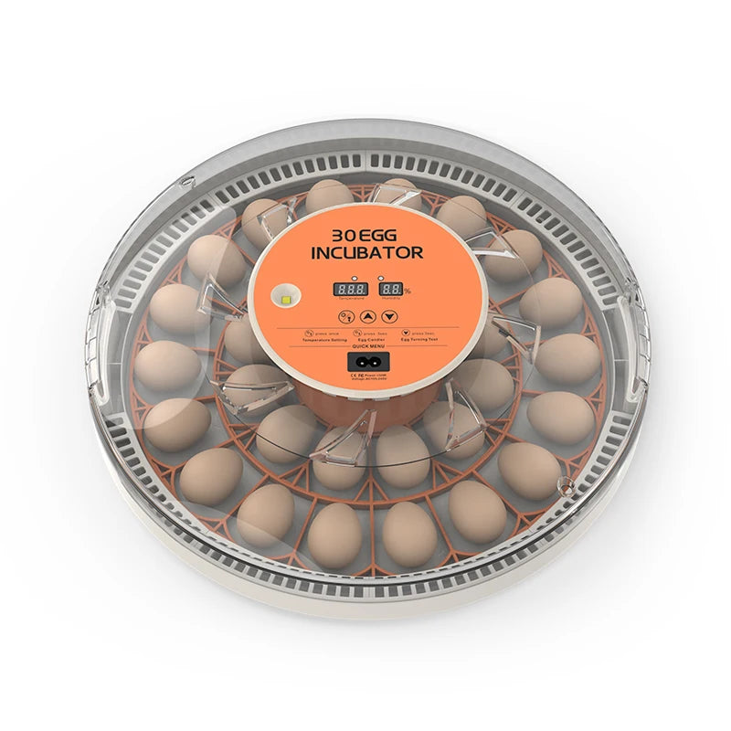 Egg Incubator Auto Brooder With Spin Turner 30 Egg Capacity