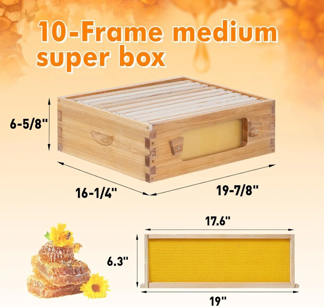 10 Frame Bee Hive Starter Kit Windows Beehive Frames And Waxed Foundations 2 Deep Brood Boxes And 1 Medium Super Box