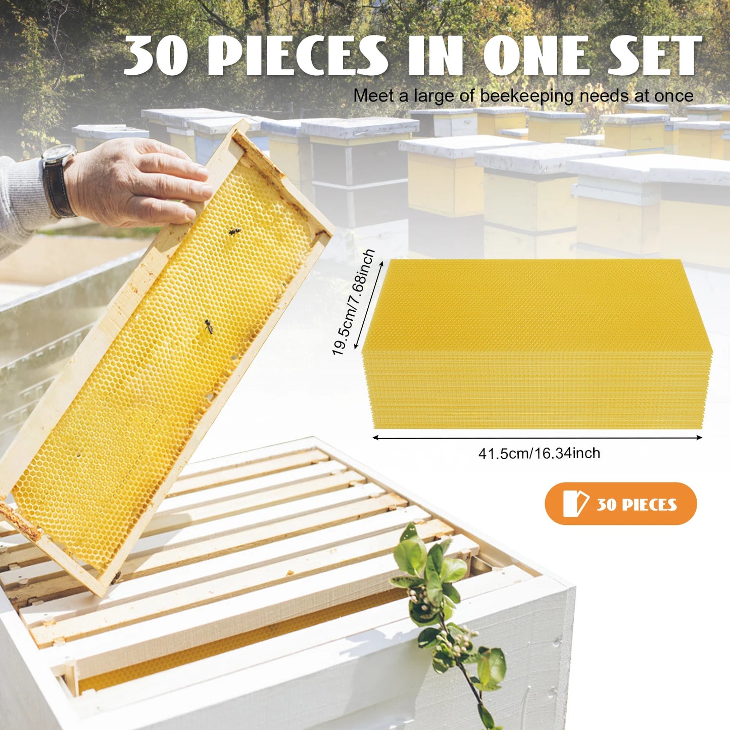 Hign-concerned Honeycomb Foundations Beekeeping Essentials 30 Pack