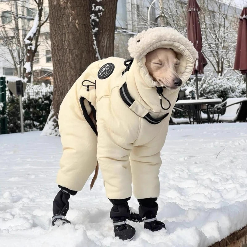 Sichuan Winter Dog Coat Warm Cotton Jacket For Pets