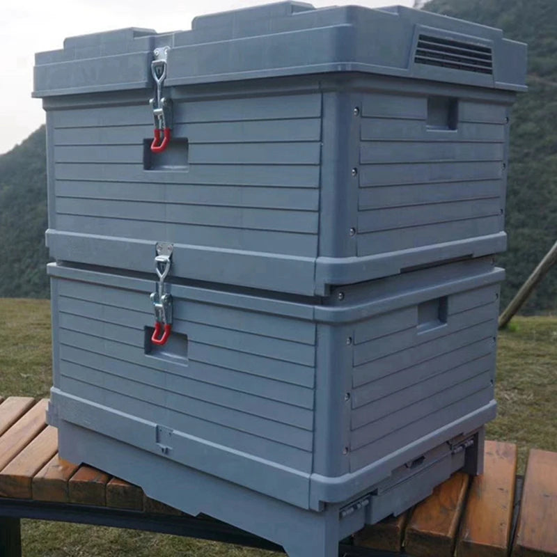 Plastic Insulation Beehive Langstroth 10 Frame With Bee Feeders