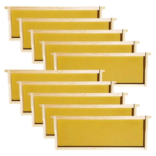 Langstroth Medium Beehive Frames With Wax-Coated Plastic Foundations