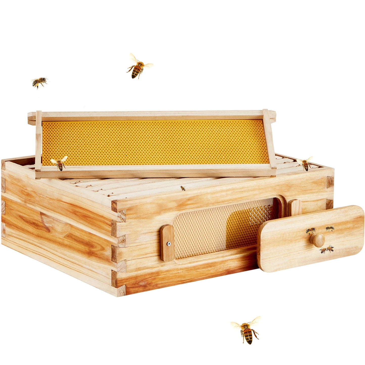 SucceBuy Bee Hive Starter Kit With 10 Frames And Foundations