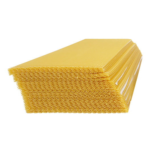 Hign-concerned Honeycomb Foundations Beekeeping Essentials 30 Pack