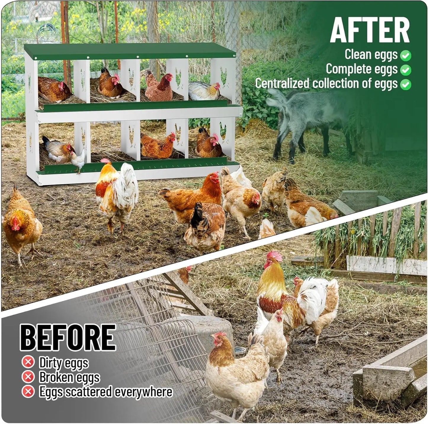 TWISTER.CK Nesting Boxes for Chickens Multi Holes Metal Laying Box