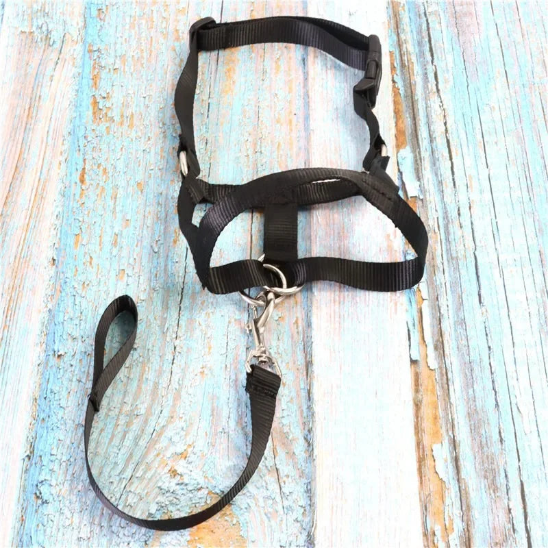 Hign-concerned Dog Bite Prevention Muzzle Adjustable Reflective Straps