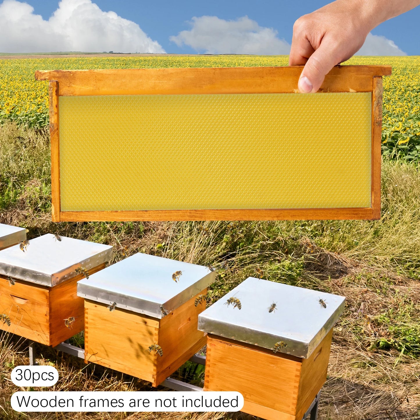 Pure Beeswax Hive Frames Pre-Waxed Deep Brood for Beekeeping
