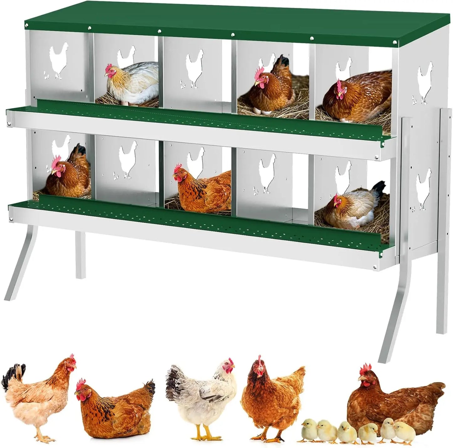 TWISTER.CK Nesting Boxes for Chickens Multi Holes Metal Laying Box