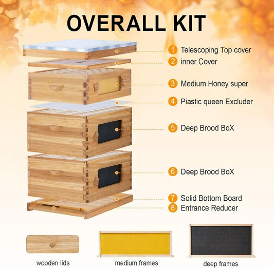 10 Frame Bee Hive Starter Kit Windows Beehive Frames And Waxed Foundations 2 Deep Brood Boxes And 1 Medium Super Box