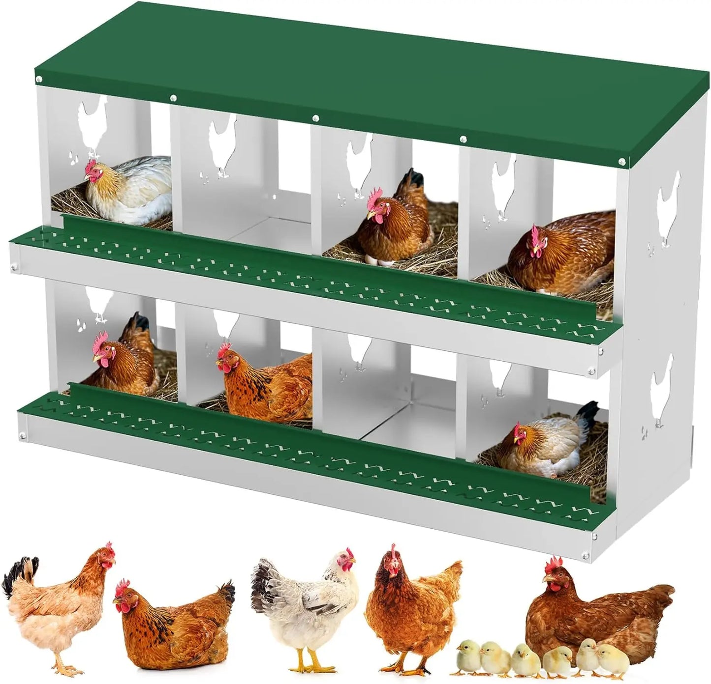 TWISTER.CK Nesting Boxes for Chickens Multi Holes Metal Laying Box