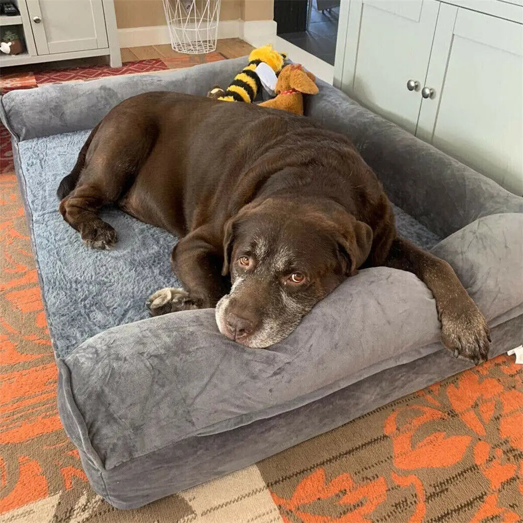 Bingopaw Orthopedic Dog Bed For Large Dogs With Removable Washable Cover And Plush Support