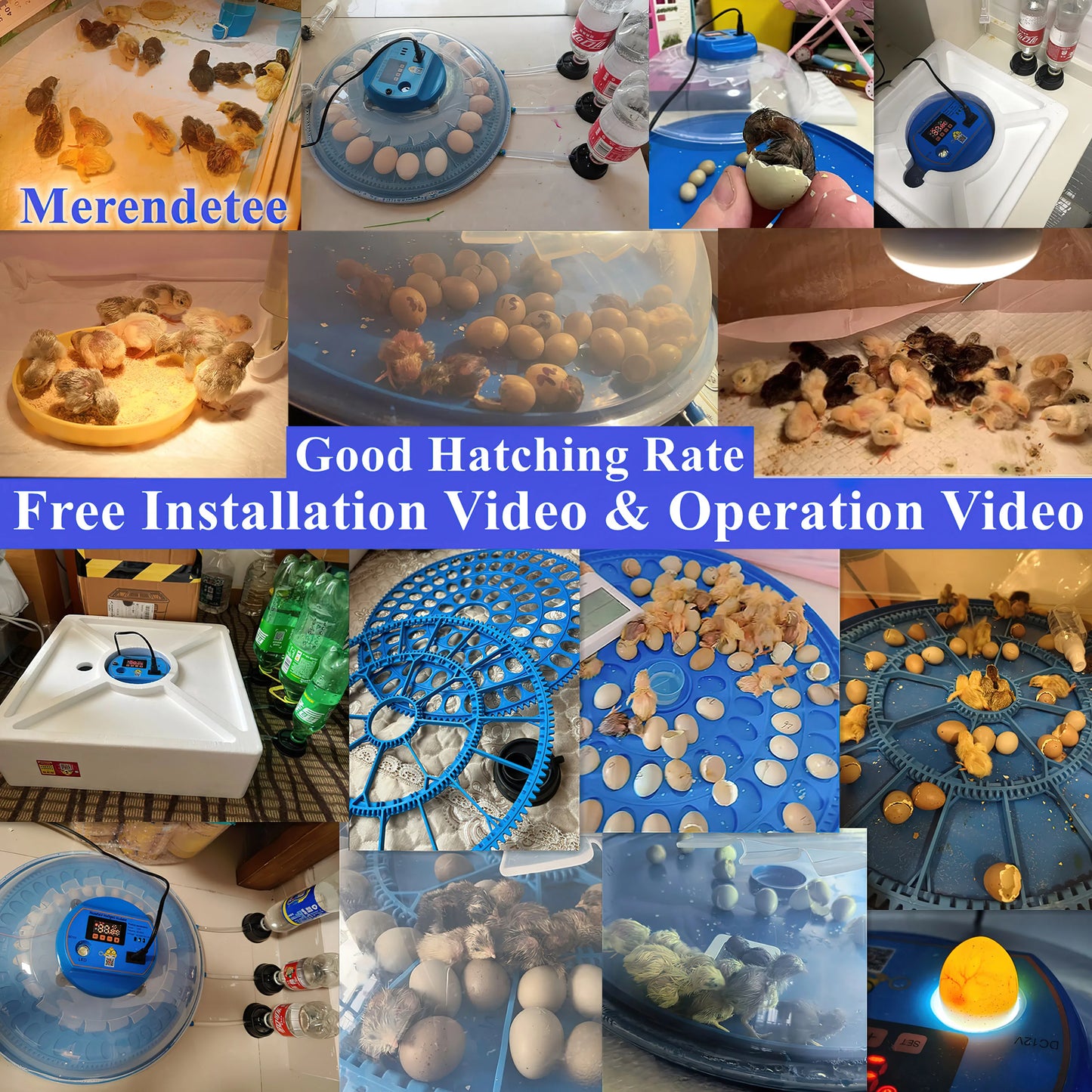 Farm Animals 26-52 Eggs Automatic Incubator With Watering 360 View