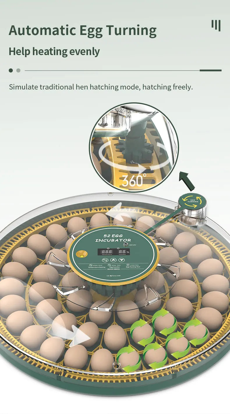 Egg Incubator With Automatic Turning Temperature And Humidity Monitor