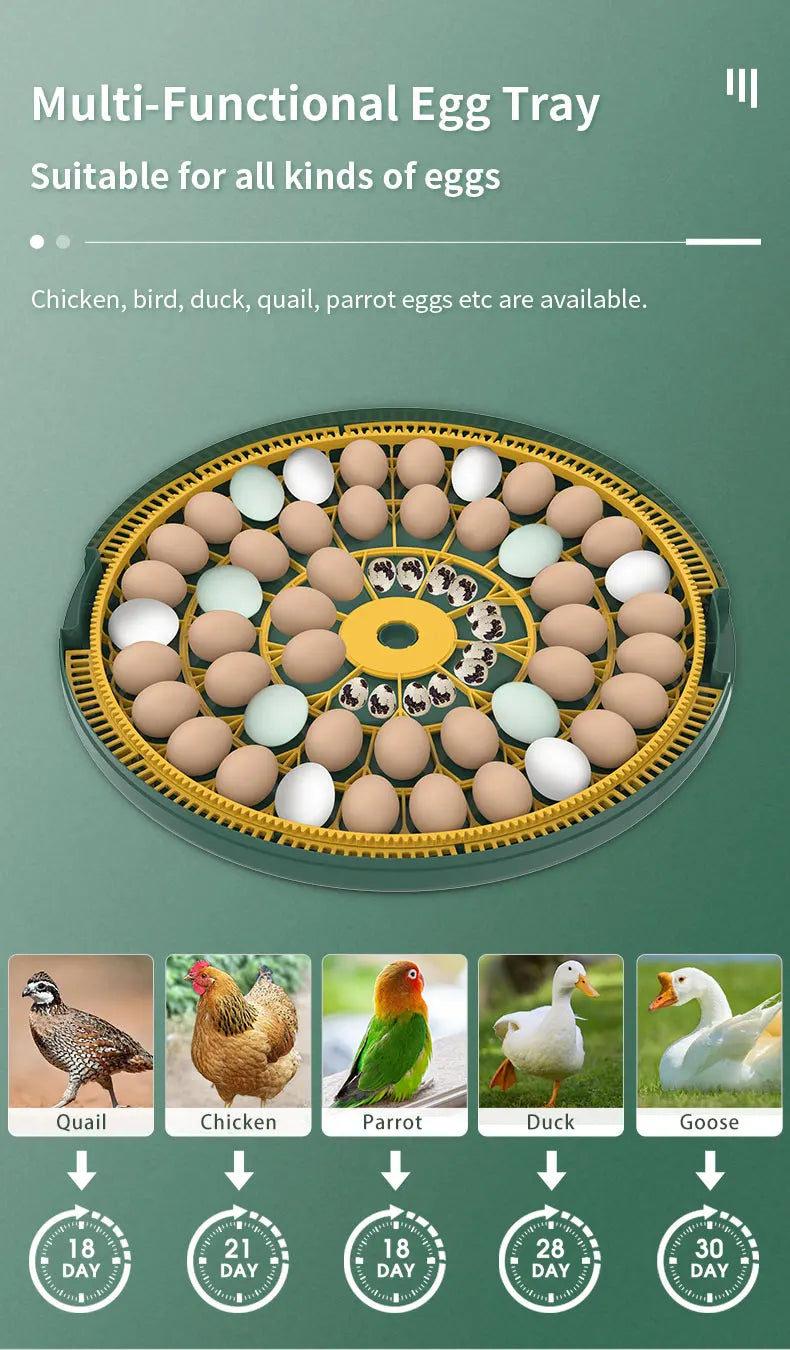 Egg Incubator With Automatic Turning Temperature And Humidity Monitor