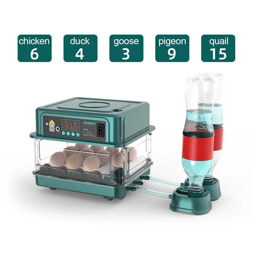 Farm Animals Egg Incubator For Chicken Goose Quail Automatic Hatchery