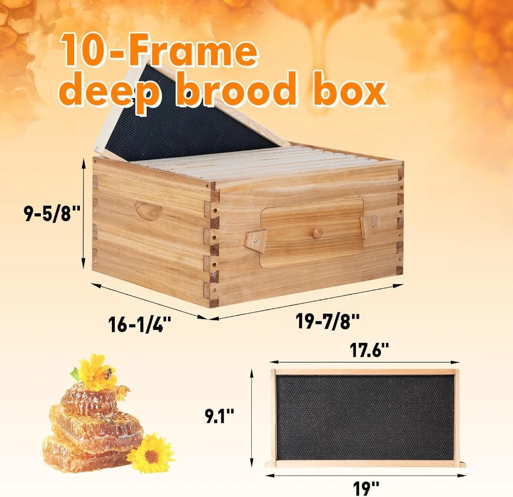 10 Frame Bee Hive Starter Kit Windows Beehive Frames And Waxed Foundations 2 Deep Brood Boxes And 1 Medium Super Box