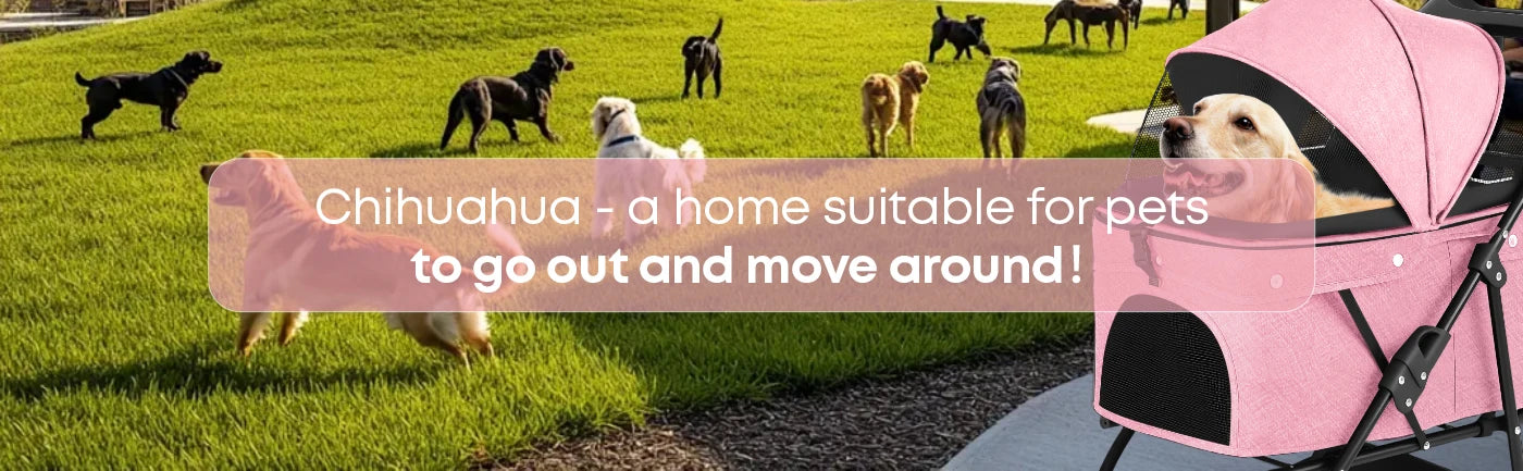 CHIHUAUA Foldable Pet Stroller For Small Dogs And Cats