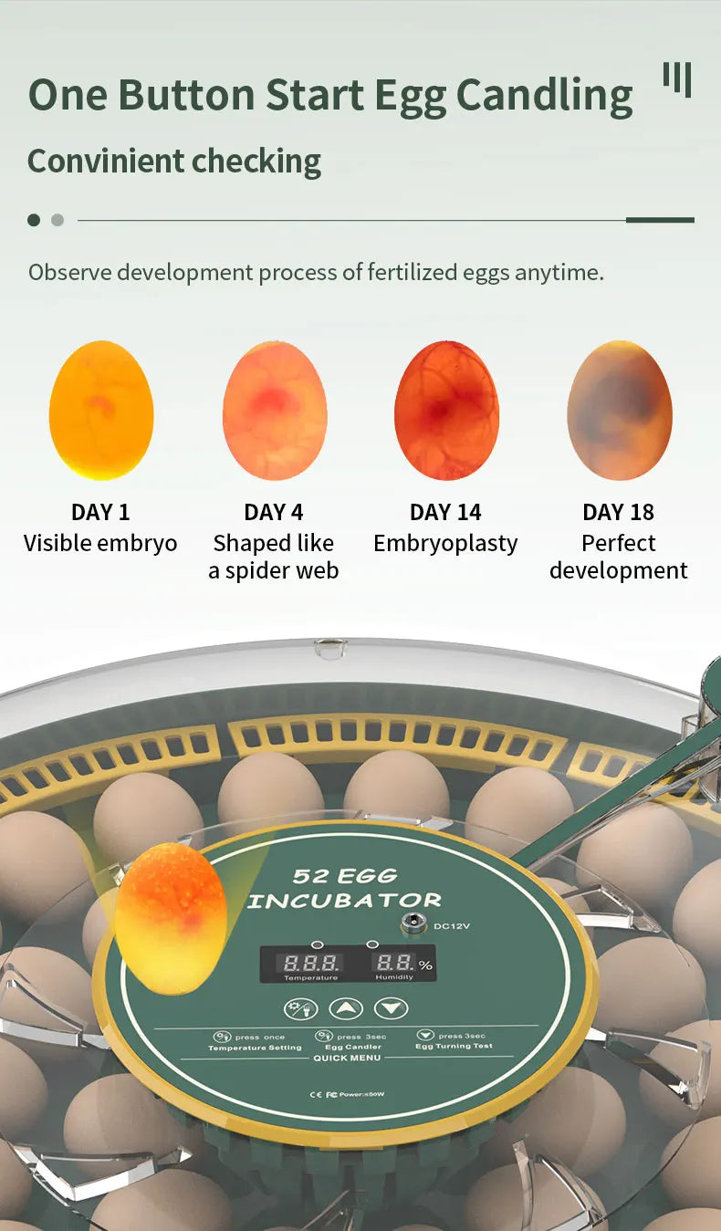 Egg Incubator With Automatic Turning Temperature And Humidity Monitor