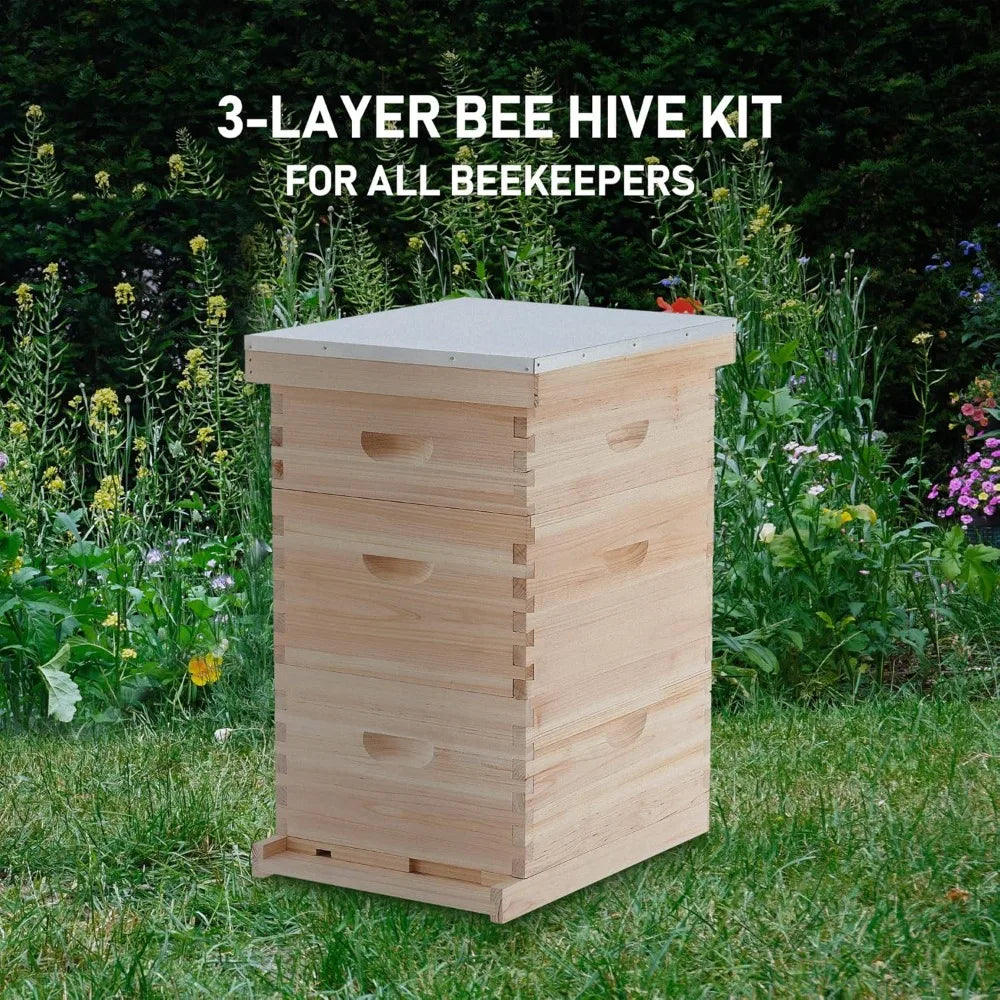 Langstroth Beehive 3 Layer With 10 Medium 20 Deep Frames