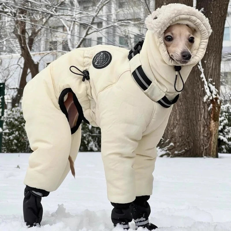 Sichuan Winter Dog Coat Warm Cotton Jacket For Pets