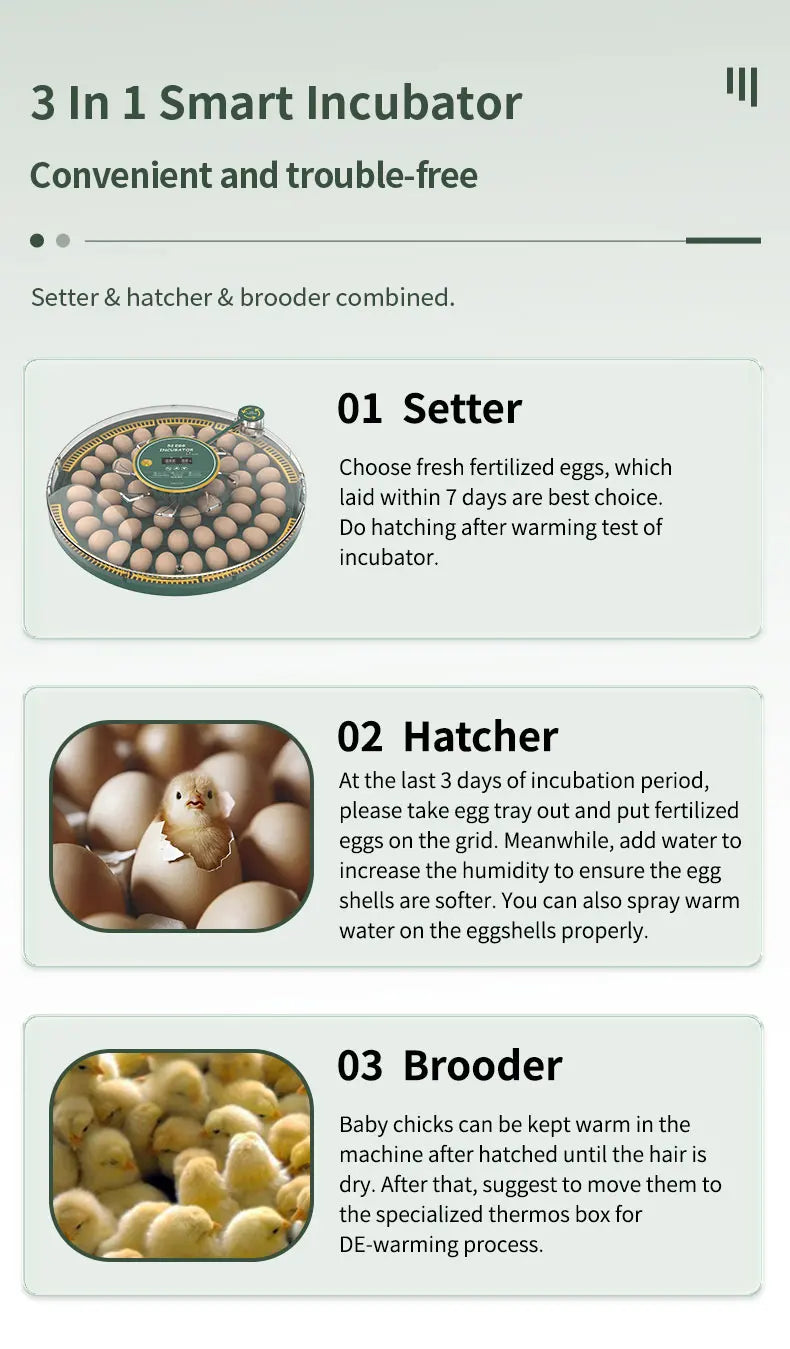 Egg Incubator With Automatic Turning Temperature And Humidity Monitor