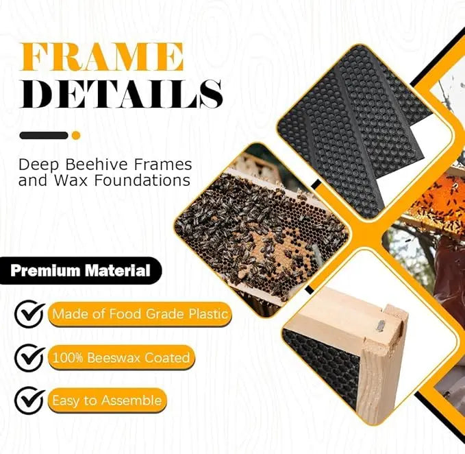 High-concerned 10 Pack Beehive Frames And Wax Foundations For Deep Brood Hives