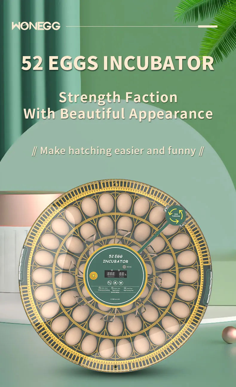 Egg Incubator With Automatic Turning Temperature And Humidity Monitor
