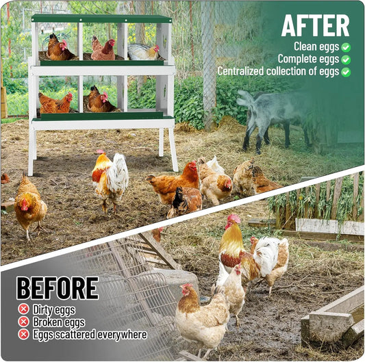 Stainless Steel Chicken Nesting Box With Bracket Legs For Coop Six Eight Or Ten Compartment Boxes